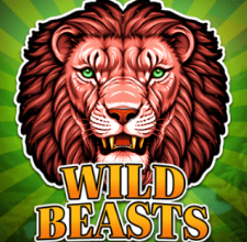 Populær Spilleautomat 27